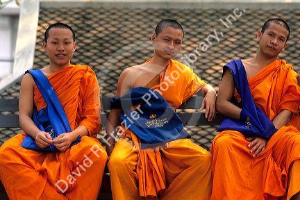 Buddhist monks in Chiang Mai, Thailand.