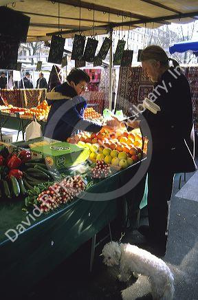 French man with his dog buys vegetables at a stand in Paris, France.