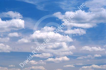 Cumulus clouds in a blue sky.