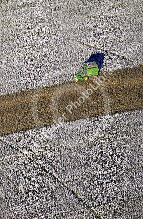 Aerial view of cotton harvest near Tifton, Georgia.