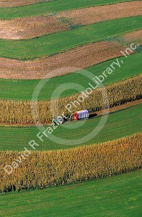 Aerial view of contour strip farming corn harvest in Southwest Wisconsin.