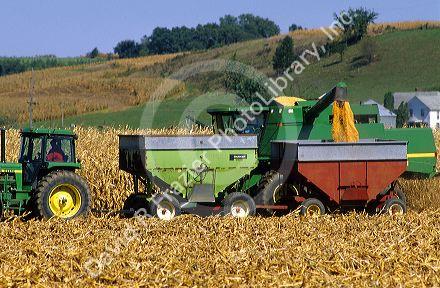 Corn harvest in central Illinois.