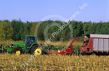 Tractor pulling a chopper used to harvest corn in Northeast Wisconsin.