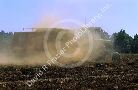 Peanut harvest in Georgia.