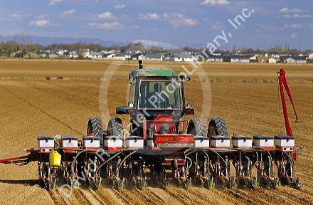 Tractor pulling a seed corn planter.