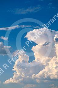 Cumulus clouds in a blue sky.