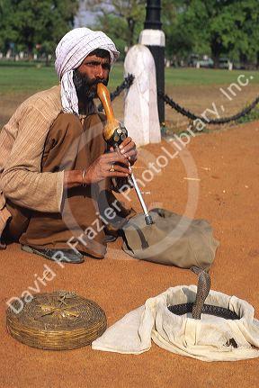 A snake charmer in India.