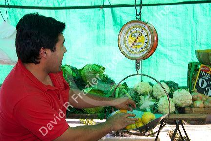 Man weighing lemons on a spring scale at an outdoor produce market in Valparaiso, Chile.