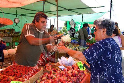 Woman shops at an outdoor produce market in Valparaiso, Chile.