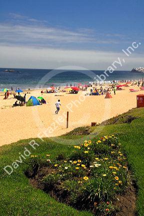 Beach scene at Renaca on the Pacific Ocean in Chile.