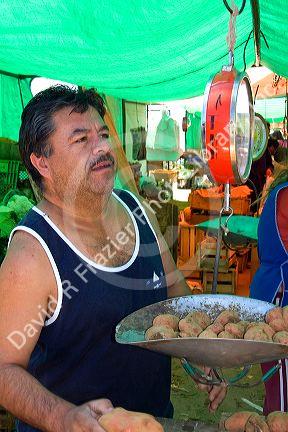 Man weighing potatoes on a spring scale at an outdoor produce market in Valparaiso, Chile.