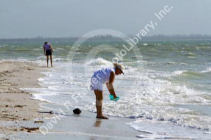 Beachcombers searching for seashells on the beach at Sanibel Island on the Gulf Coast of Florida.