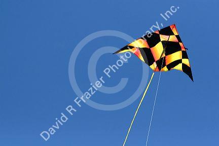 Kite flying in a blue sky at Galveston, Texas.