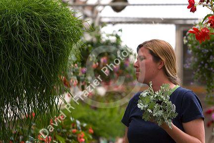 Woman making a funny face trying to decide on purchasing a plant in the greenhouse of a nursery in Nampa, Idaho. MR