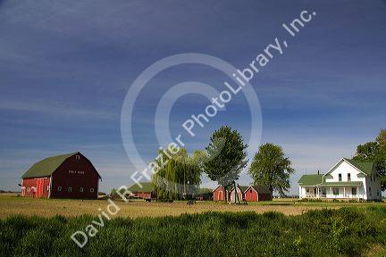 Farmstead in Gratiot County, Michigan.