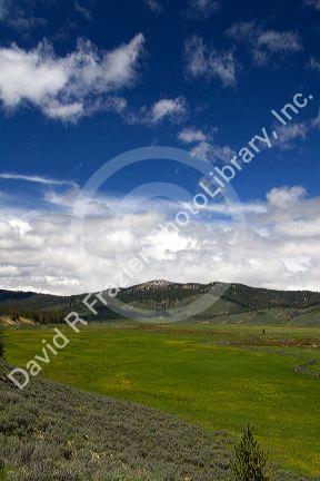 Valley Creek near Stanley, Idaho.