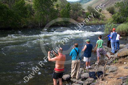 Chinook Salmon fishing along the banks of the Little Salmon River near Riggins, Idaho.