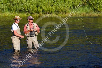 Guide and fly fisherman on the Lewis River in Yellowston National Park, Wyoming.