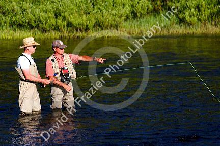 Guide and fly fisherman on the Lewis River in Yellowstone National Park, Wyoming.