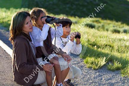 Hispanic family viewing wildlife with binoculars in Yellowstone National Park, Wyoming. MR