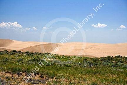 Sand dunes at St. Anthony, Idaho.