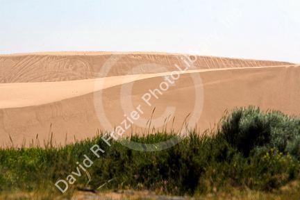 Sand dunes at St. Anthony, Idaho.