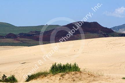 Sand dunes at St. Anthony, Idaho.