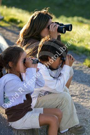 Hispanic family viewing wildlife with binoculars in Yellowstone National Park, Wyoming. MR