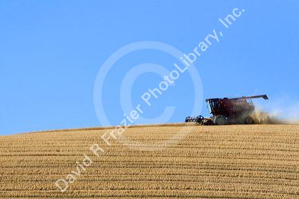 Combine harvesting ripe wheat in Eastern Washington.
