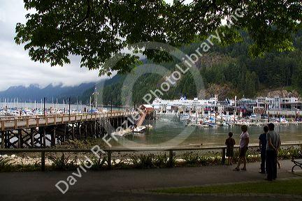 BC Ferry and boats docked at Horseshoe Bay in West Vancouver, British Columbia, Canada.