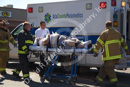 Traffic accident victim being transfered to an ambulance in Boise, Idaho.