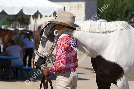 Girl showing her Pinto horse to 4-H judges at the Western Idaho Fair in Boise, Idaho.