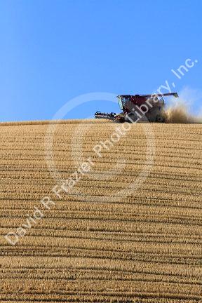 Combine harvesting ripe wheat in Eastern Washington.