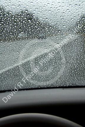 Raindrops on the windshield of a car in Washington.