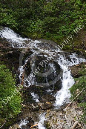 Fresh water mountain stream in the North Cascade Range, Washington.