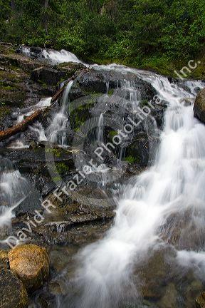 Fresh water mountain stream in the North Cascade Range, Washington.