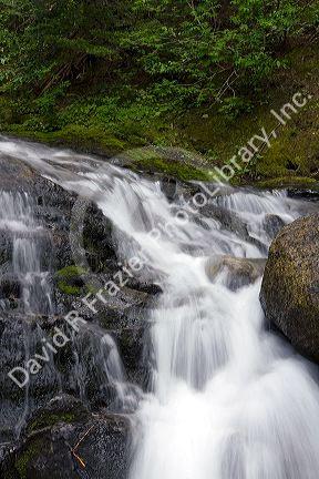 Fresh water mountain stream in the North Cascade Range, Washington.