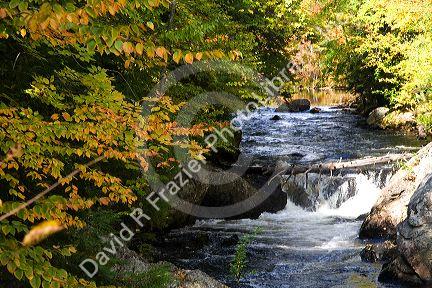 Small stream and autumn colors in Merrimack County, New Hampshire, USA.