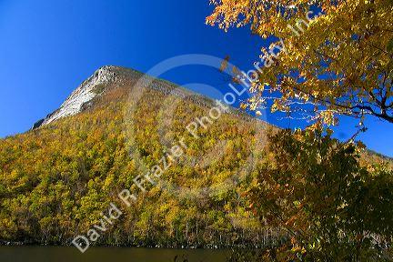 Fall foliage at Cannon Mountain, a peak in the White Mountains located within Franconia Notch State Park, New Hampshire, USA.
