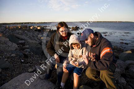 Family looking at a green crab in Odiorne Point State Park near the Seacoast Science Center at Rye, New Hampshire, USA.