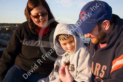 Family looking at a green crab in the Odiorne Point State Park near the Seacoast Science Center at Rye, New Hampshire, USA.