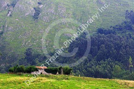 Ruins of a stone farmhouse in rural Cantabria, northern Spain.
