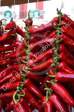 Fresh piquillo peppers for sale in the town of Saint-Jean-de-Luz, Pyrenees-Atlantiques, French Basque Country, Southwest France.