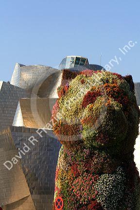 The Puppy topiary art sculpture by Jeff Koons in front of the Guggenheim Museum in the city of Bilbao, Biscay, Basque Country, northern Spain.