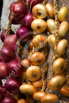 Onions being sold at an outdoor market in the town of Cangas de Onis, Asturias, northern Spain.