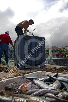 Commercial fisherman in the harbor at Llanes, Asturias, Spain.