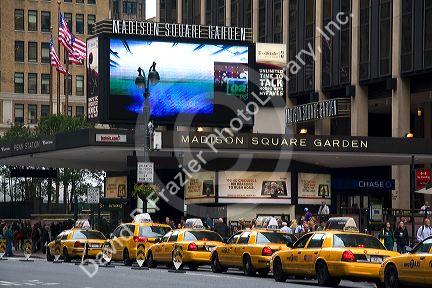 Taxicabs lined up in front of Madison Square Garden, Manhattan, New York City, New York, USA.
