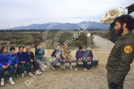 A park ranger in Ano Nuevo Point, California shows children an elephant seal skull.