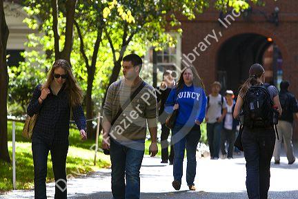 Students in Harvard Yard at Harvard University in Cambridge, Greater Boston, Massachusetts, USA.