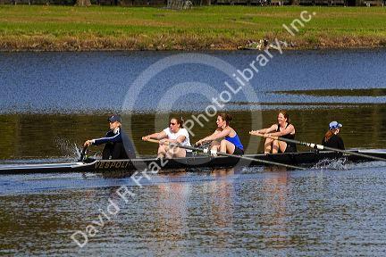 Rowing on the Charles River near Harvard University in Cambridge, Greater Boston, Massachusetts, USA.